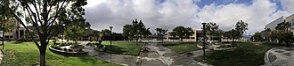 Interior View of the campus from the center quad tree MVC Interior View.jpg