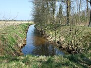 Mała Gunica na północ od mostku na drodze Huta Gunicka-Łęgi