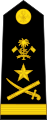 Maldives Army OF-9.svg