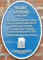 Oval blue plaque marking site of Anning's house