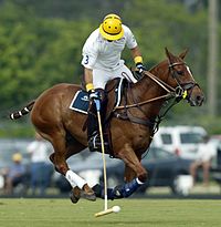 Gracida playing in Florida in 2005
Photo by David Lominska Memo-Gracida.jpg