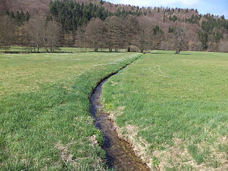 The Mohrenbach just before its mouth