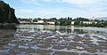 Downtown as seen from west side of Skagit River with view of Mt. Baker