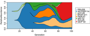 Muller Plot