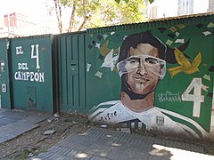 Mural en homenaje a Julio Barraza, sobre la calle Larroque (entre Av. Yrigoyen y Acevedo), Banfield..jpg