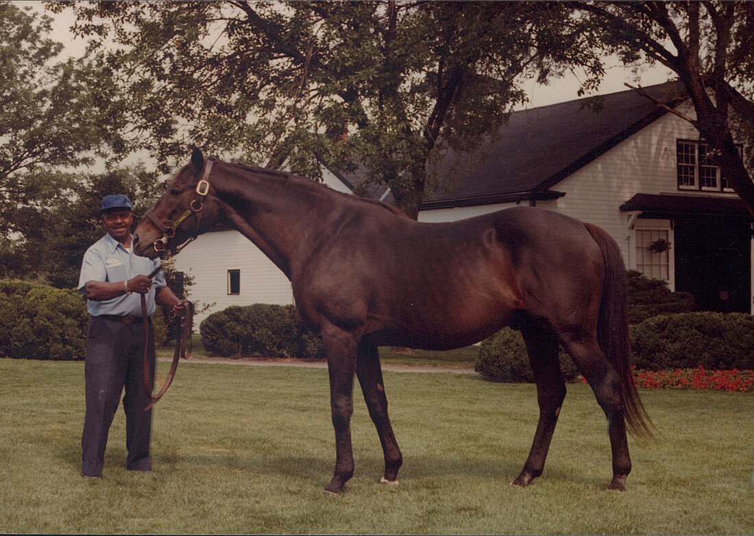 Nashua (horse)