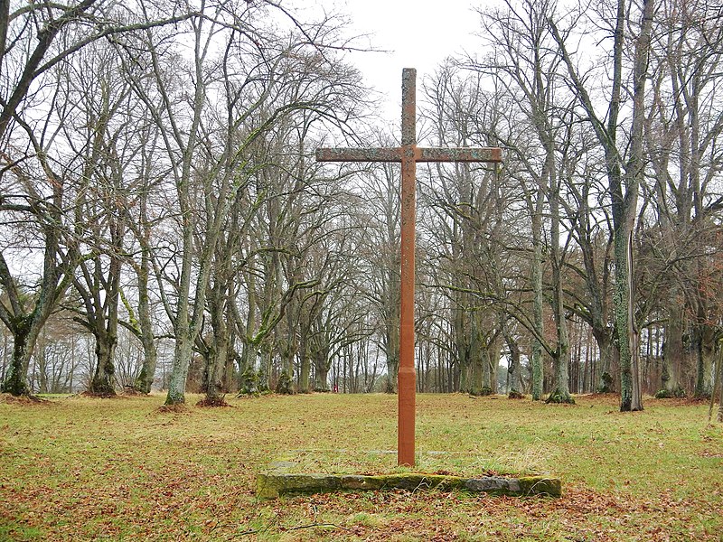 File:Naturdenkmal Predigtplatz mit imposanten alten Baumbeständen. Diese Linden haben bereits ein Alter von rund 200 Jahren und einen Stammdurchmesser von bis zu 3 m. () Land.Tour.Pfadfinder, Vom mittelalterlichen Weil - panoramio.jpg