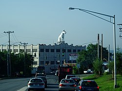 Nipper vigilando el norte de Albany, visto desde Loudonville Road