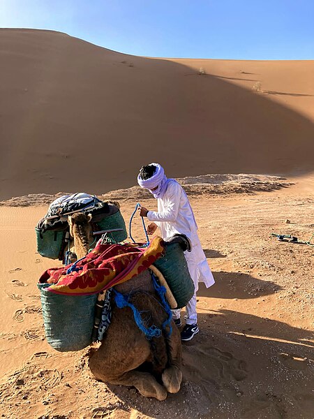 File:Nomads in Sahara.jpg