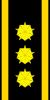 Polícia norueguesa rank 6.svg