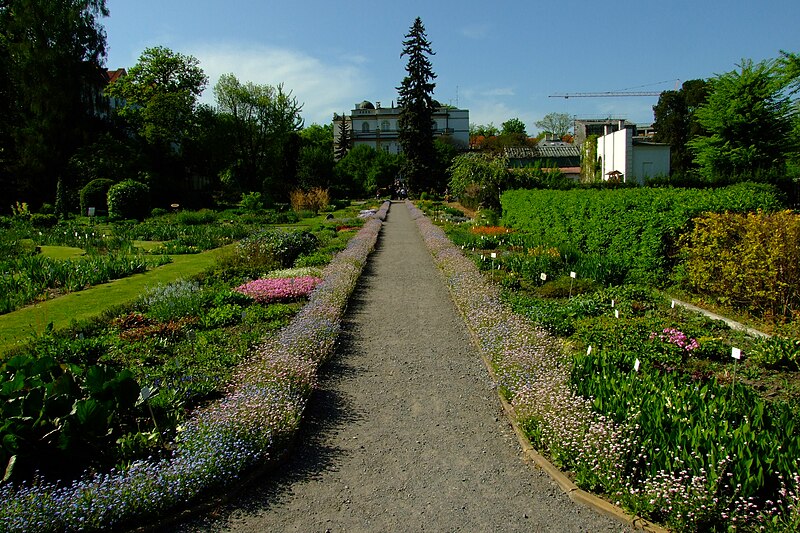 File:Ogród Botaniczny w Krakowie.JPG