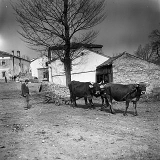 Hrušica, Ilirska Bistrica Village in Inner Carniola, Slovenia