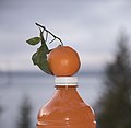 Orange Bottle 905.jpg
