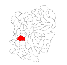 Caraș-Severin County'deki yer