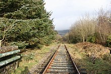 The mothballed line through the station site Overgrown trackbed through old Llan Ffestiniog Station - geograph.org.uk - 639933.jpg