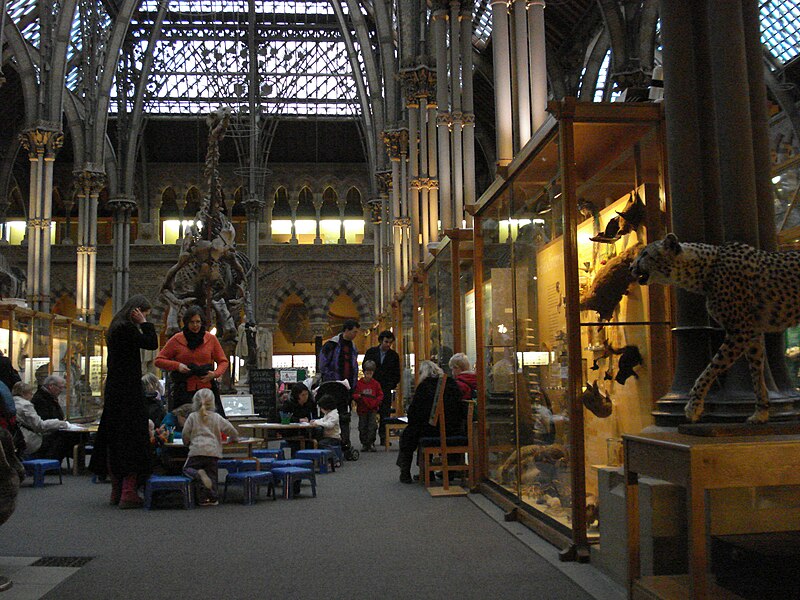 File:Oxford University Museum of Natural History (2071319238).jpg