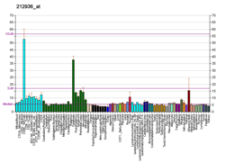 PBB GE C5orf21 212936 bei fs.png