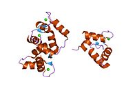 PDB 1j7p EBI.jpg