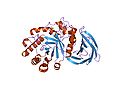 Thumbnail for Glycoside hydrolase family 30