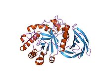 PDB 1nof EBI.jpg