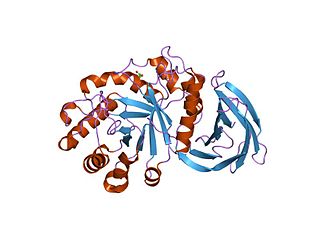 <span class="mw-page-title-main">Glycoside hydrolase family 30</span>