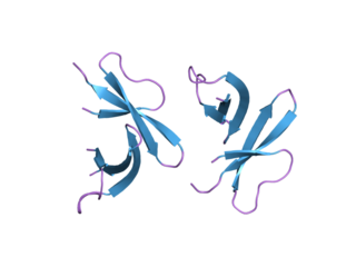 <span class="mw-page-title-main">DEFA4</span> Protein-coding gene in the species Homo sapiens