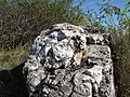 Čeština: Výstup buližníku přírodní památky Pazderna. Okres Praha-Západ, Česká republika. English: Chert rock of Pazderna natural monument, Praha-Západ District, Czech Republic.