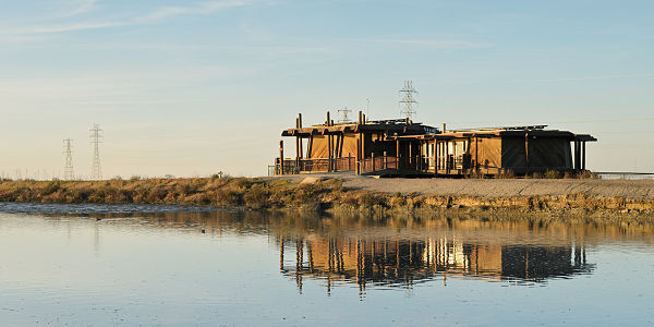 "Palo_Alto_Baylands_January_2013_004_edit.jpg" by User:King of Hearts