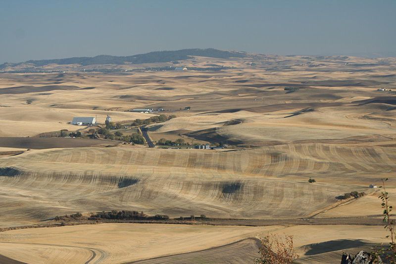 File:Palouse Hills2.jpg