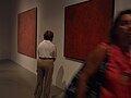 English: Man looking Doreen Reid Nakamarra (1950 in Warburton Ranges, Ngaanyatjarra Lands, Bison Desert, Australia) and Warlimpirrnga Tjapaltjarri (1958 near Kiwirrkurra in Gibson Desert, Australia) paintings inside the Museum Fridericianum in Kassel, Hesse, Germany during dOCUMENTA (13). Doreen Reid Nakamarra and Warlimpirrnga Tjapaltjarri are both members of Papunya Tula Arsists collective.