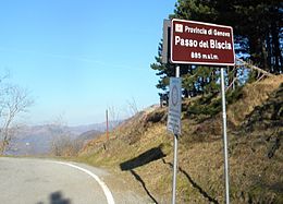 Passo del Biscia.JPG