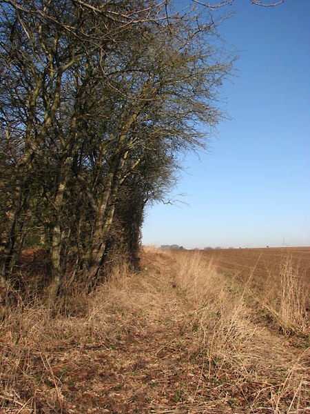 File:Path leading north - geograph.org.uk - 687196.jpg