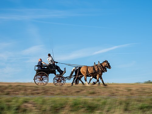 Two-horse carriage in motion