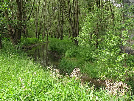 Plauen Kleinfriesen, Friesenbach IMG 7495