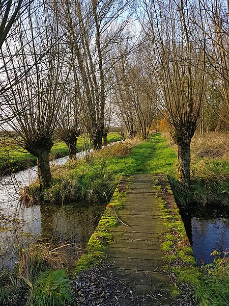 File:Polder bolgerijen 3.jpg