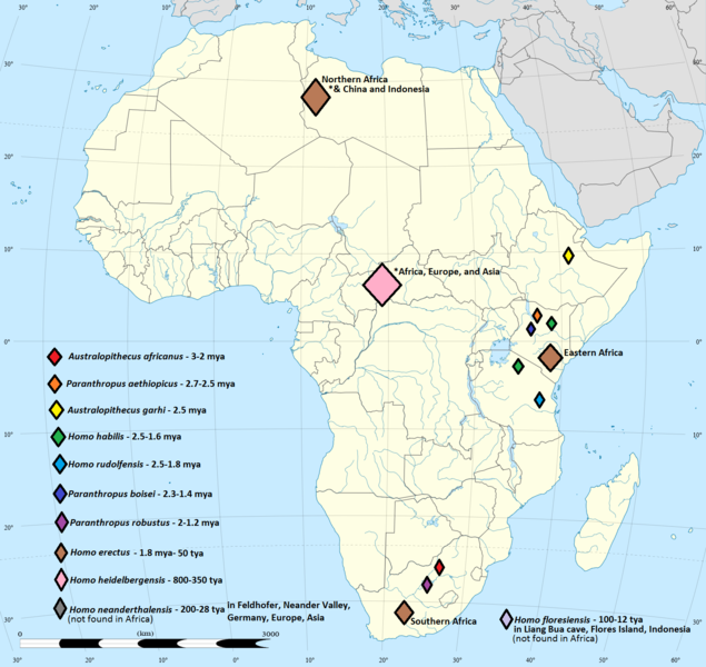 File:Post-canine Megadontia map in Africa.png