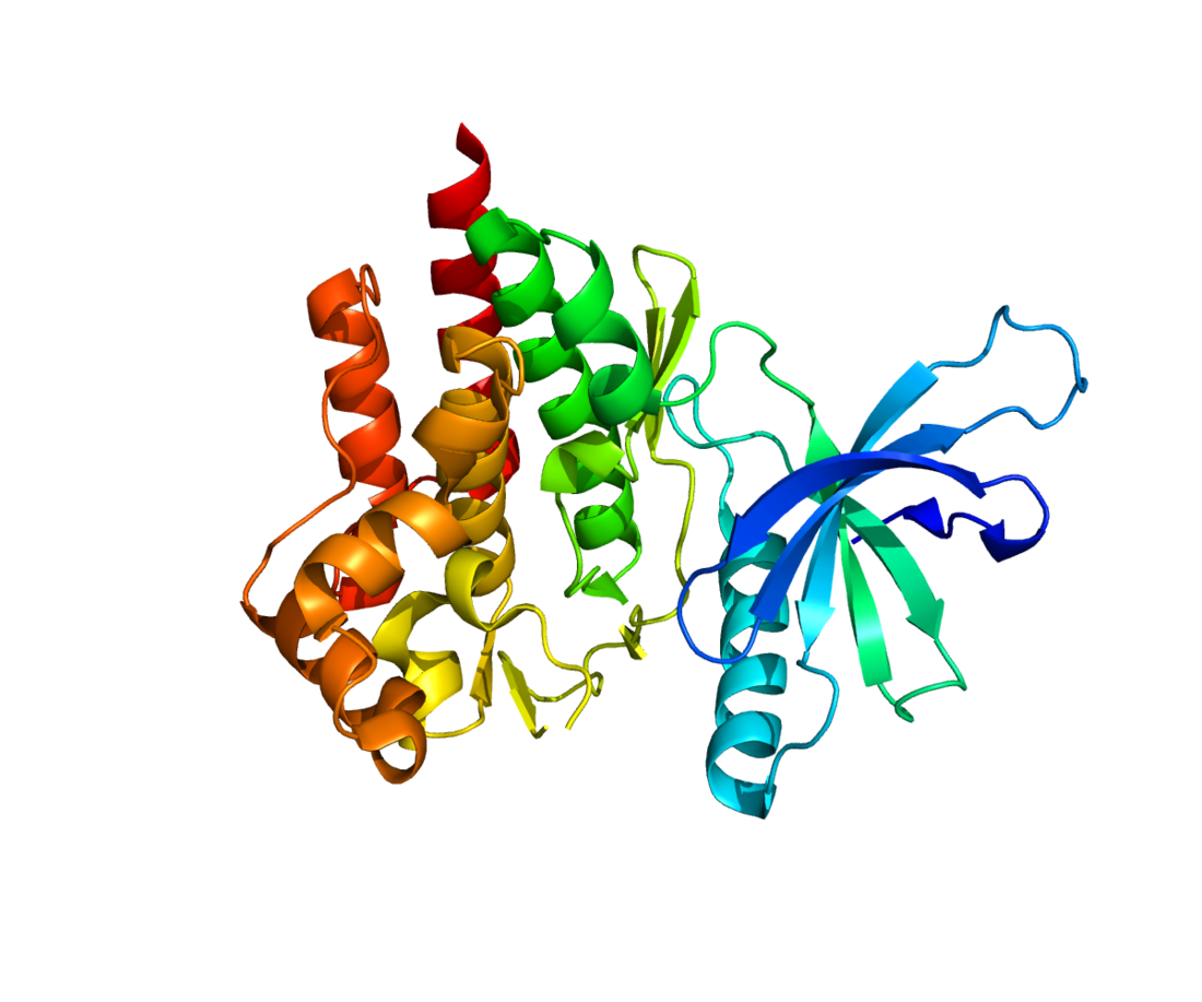 Tyrosine kinase 2