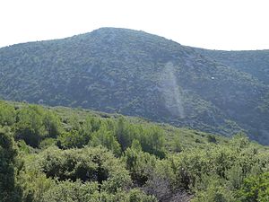 Puig del Coscó