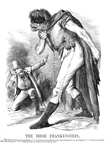 Illustration from an 1882 issue of Punch: An English editorial cartoonist conceives the Irish Fenian movement as akin to Frankenstein's monster, in the wake of the Phoenix Park killings.  Menacing villains and monsters in horror literature can often be seen as metaphors for the fears incarnate of a society.