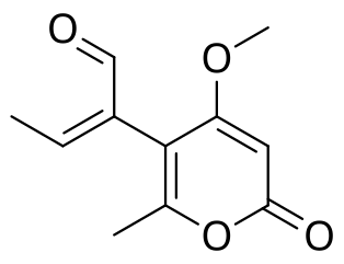 Pyrenocine D.svg