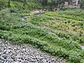 Rio Grande de Manati dari Manati Jembatan di Mata de Plátano 05.jpg