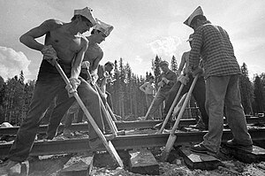 English: Students' construction brigade working on the Archangelsk-Karpogory highway Русский: Бойцы студенческого отряда строят дорогу Архангельск - Карпогоры