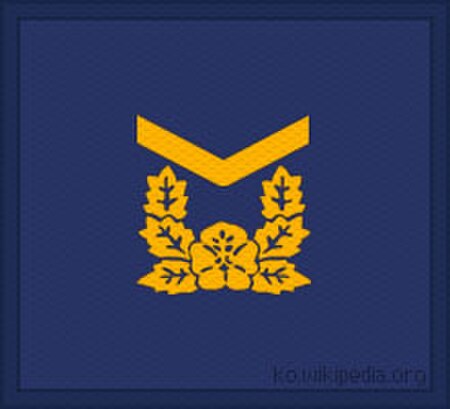 Tập_tin:ROKAF_Technical_Sergeant.jpg