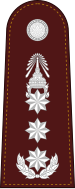 File:RTP OF-8 (Police Lieutenant General).svg