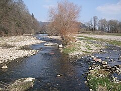 Renaturierung der Wiese bei Maulburg (1)