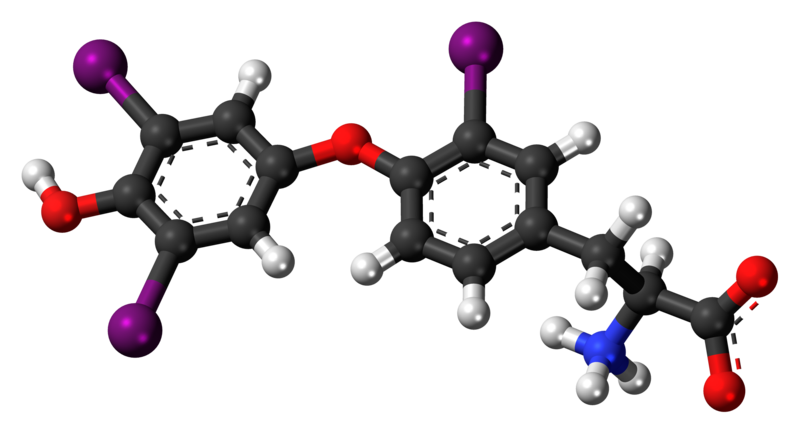 File:Reverse triiodothyronine zwitterion 3D ball.png