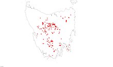 Distribution of Richea sprengelioides from the Atlas of Living Australia Richea sprengelioides distrobution.jpg