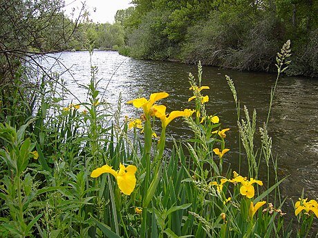 Río Porma