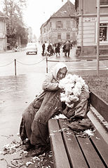 Rože za dan mrtvih 1961 (2).jpg