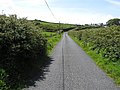 Road at Dreenagh - geograph.org.uk - 1329289.jpg